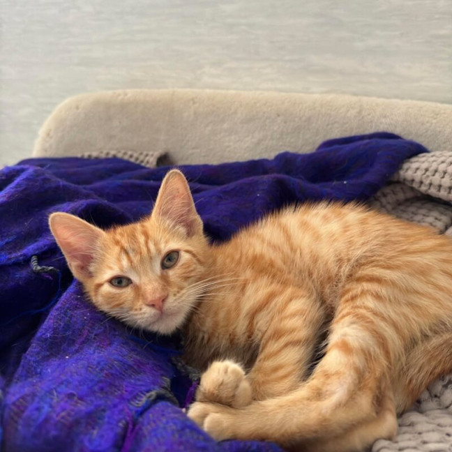 Photo of Bertie
