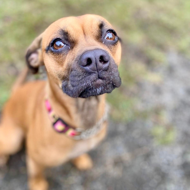 Photo of Friday