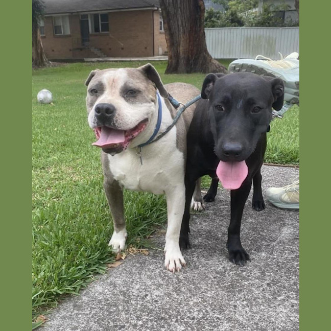 Photo of Luna (With Choppa)