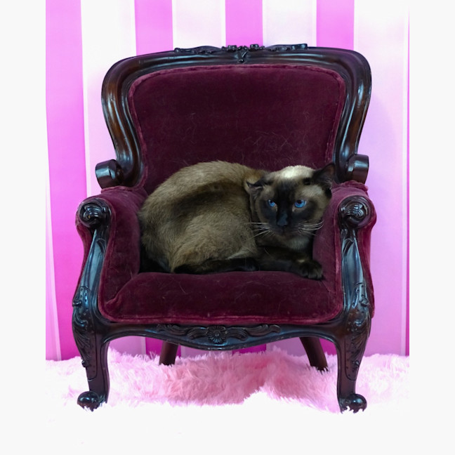 Photo of Skadi And Freya