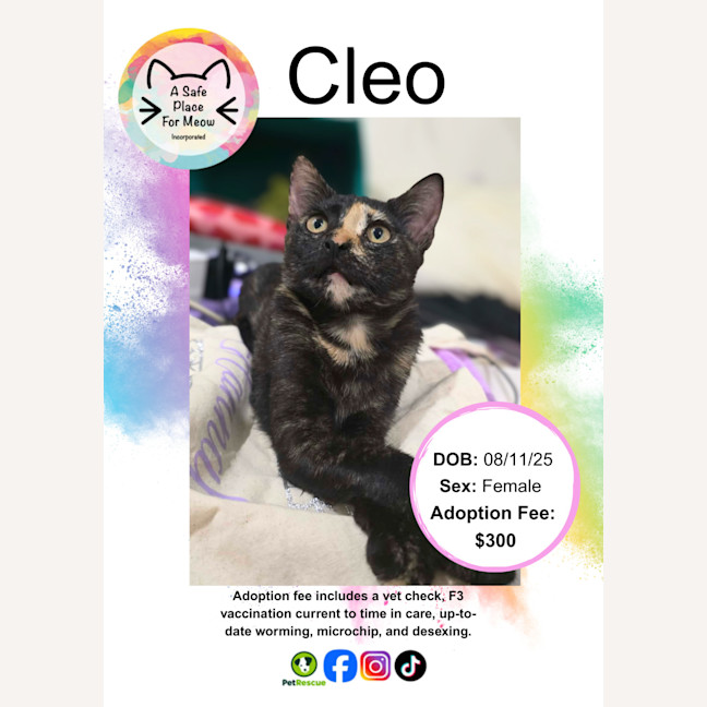 Photo of Cleo