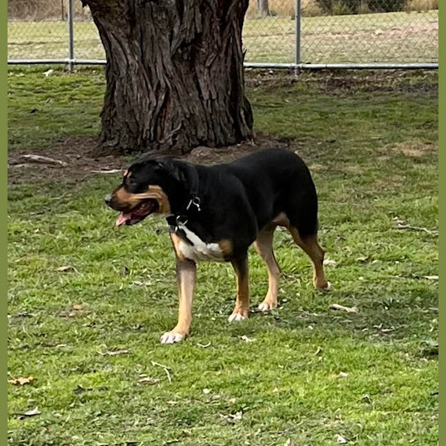 Photo of Suzie