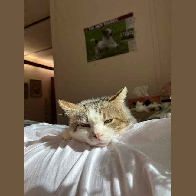 Photo of Mr Worldwide