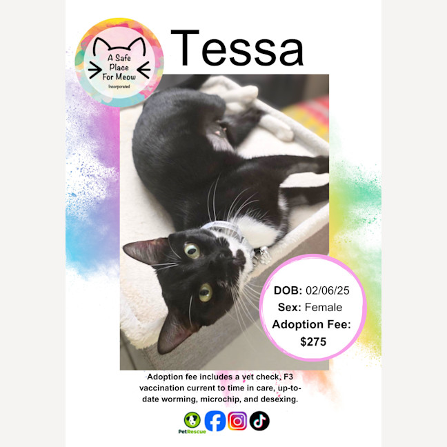 Photo of Tessa