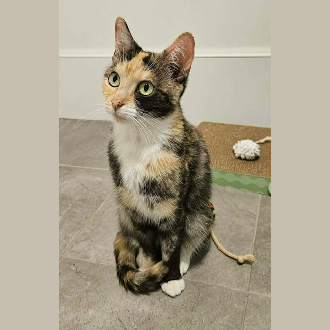 Photo of Hazel 