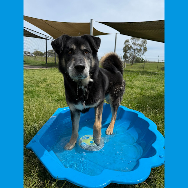 Photo of Zeus 