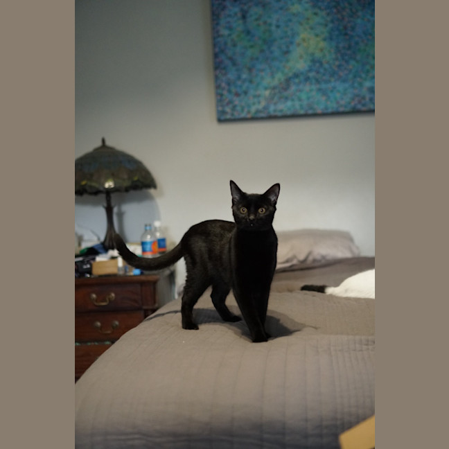 Photo of Klaus