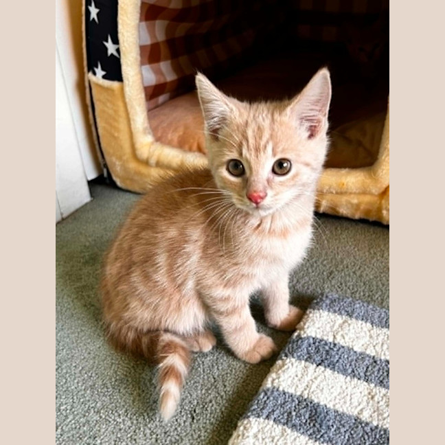 Photo of Bill