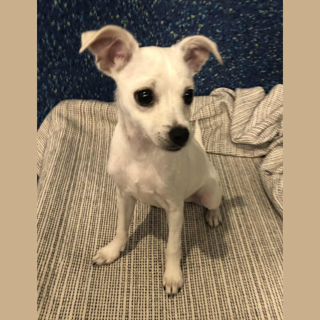 Photo of Jaxx