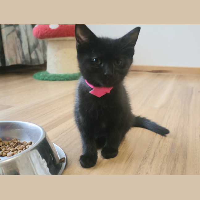 Photo of Wednesday