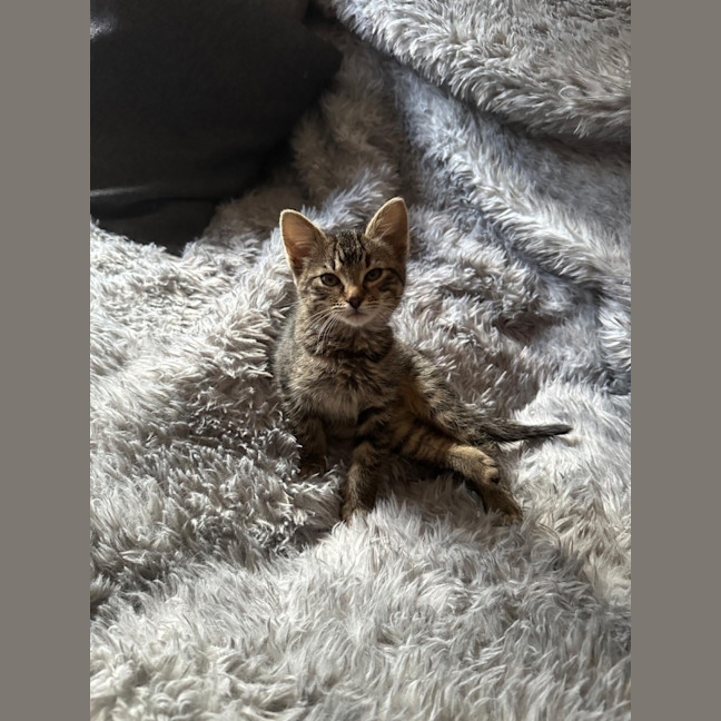 Photo of Tabitha