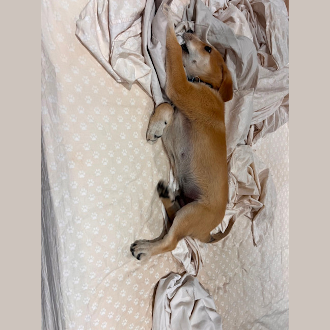 Photo of Major