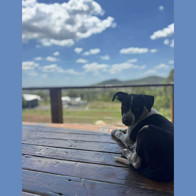 Photo of Jessie