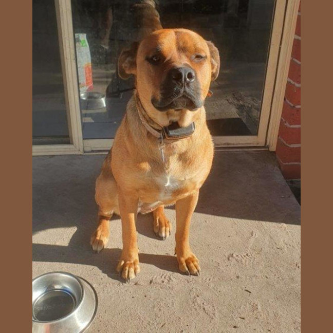 Photo of Skye Peggotty