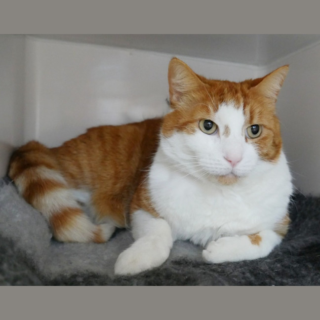 Photo of Archie Rstk000908