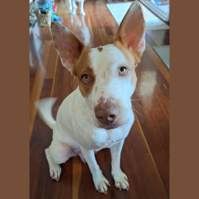 Photo of Adeline