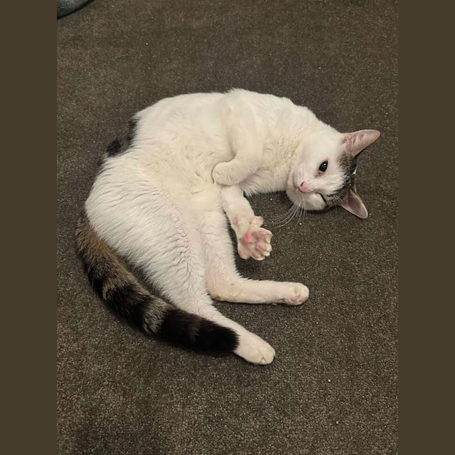 Photo of Smoosh