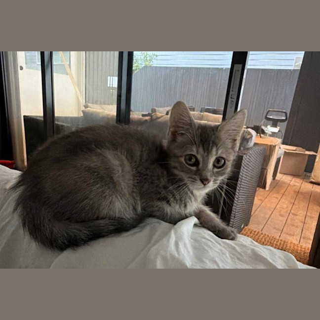 Photo of Maggie 🌈⭐️