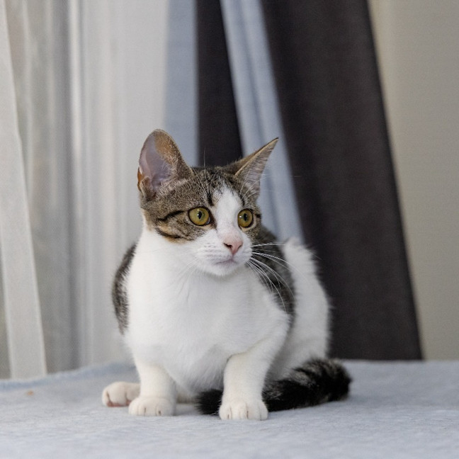Photo of Macy