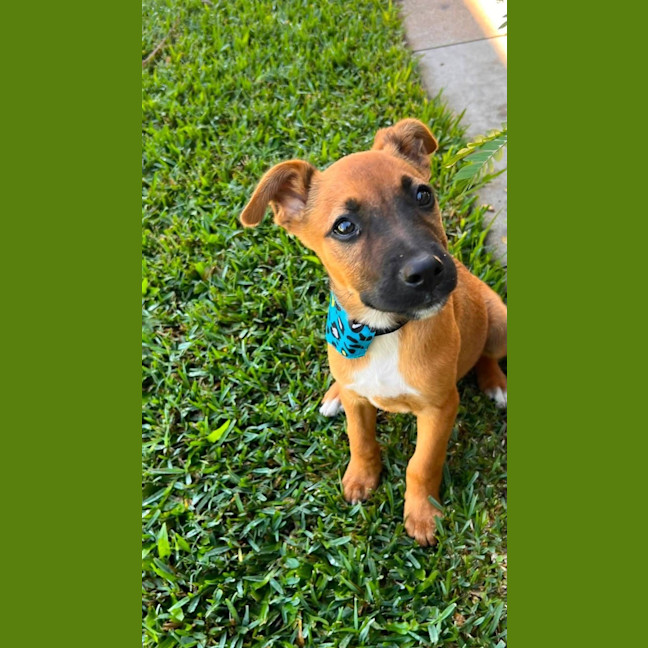 Photo of Tex