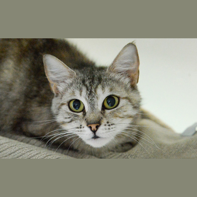 Photo of Sylvia