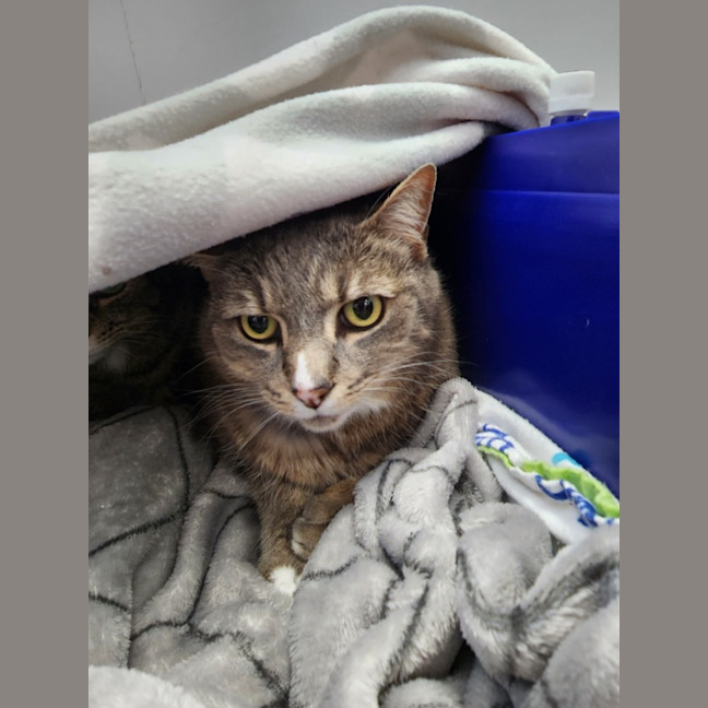 Photo of Lucky & Ella 