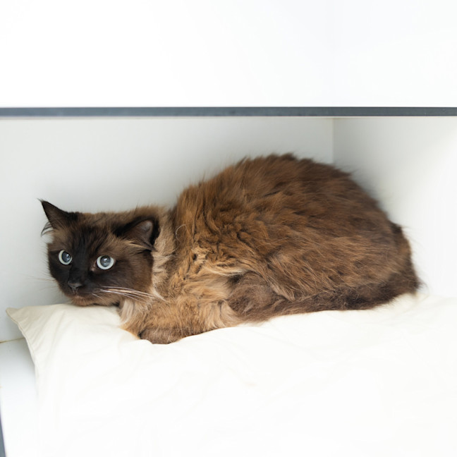 Photo of Mia