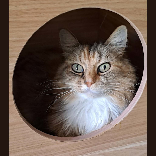 Photo of Hannah
