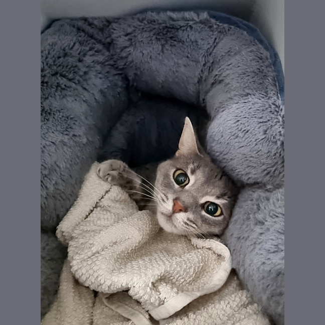 Photo of Tia