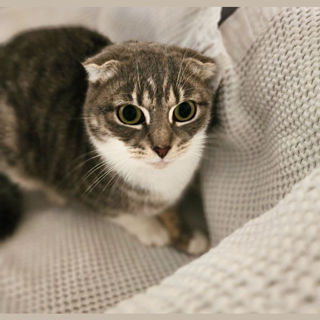 Photo of Dakota