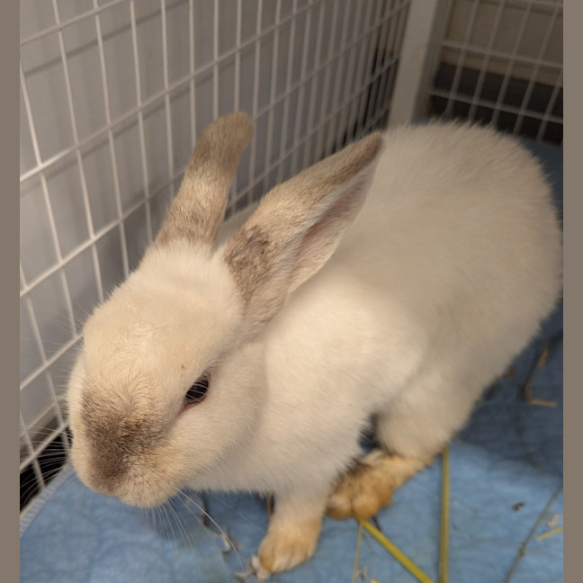 Photo of Bonnie