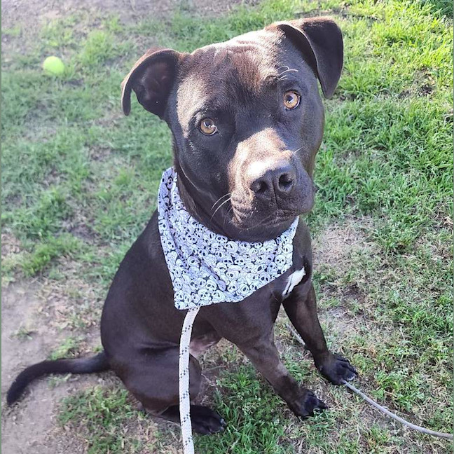 Photo of Odin