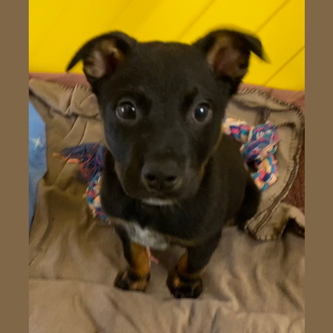 Photo of Hugo