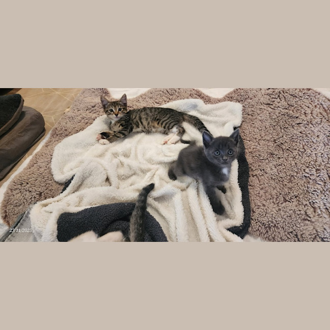 Photo of Tiny