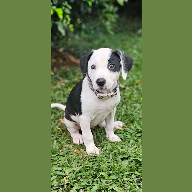 Photo of Jewel
