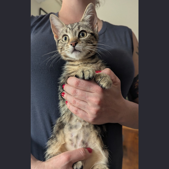 Photo of Lucia Scotty