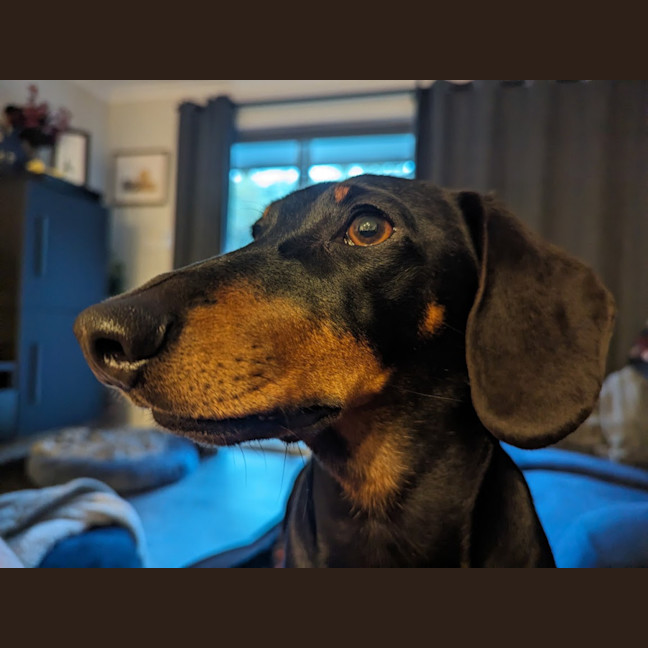 Photo of Franklin