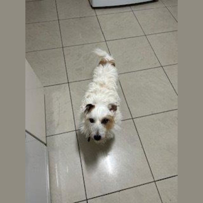 Photo of Russell Russelton