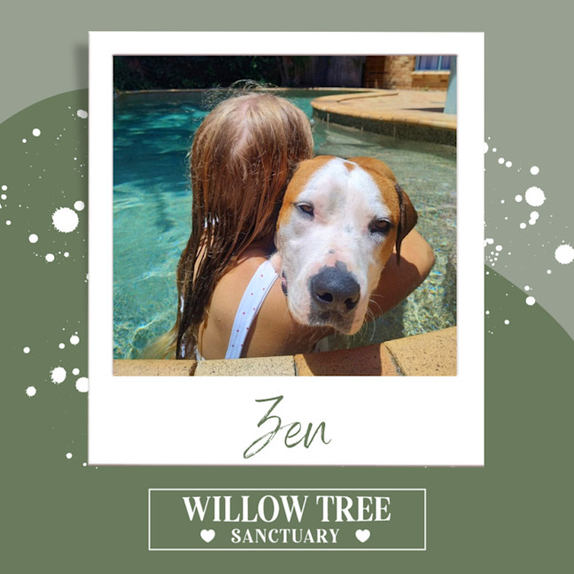 Photo of Zen