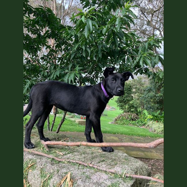 Photo of Storm