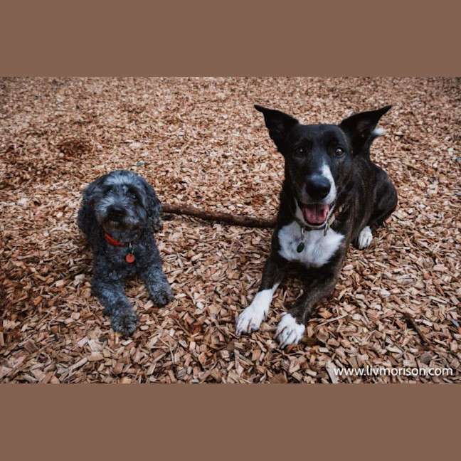 Photo of Oscar And Annika Newhaven