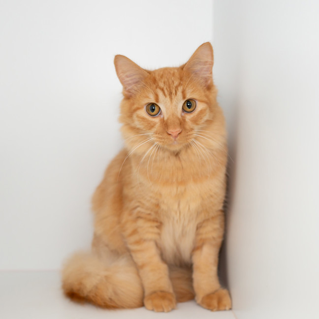 Photo of Benny