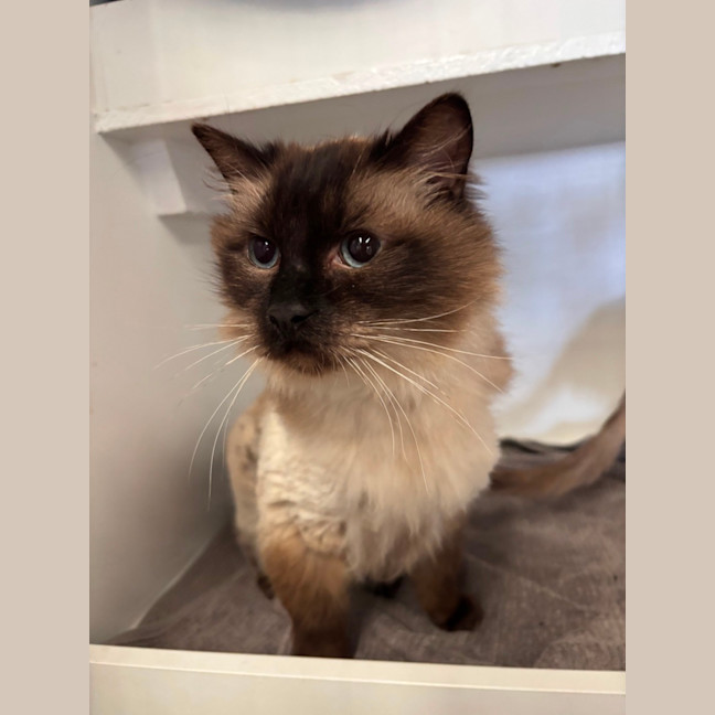 Photo of Fletcher & Jasper 