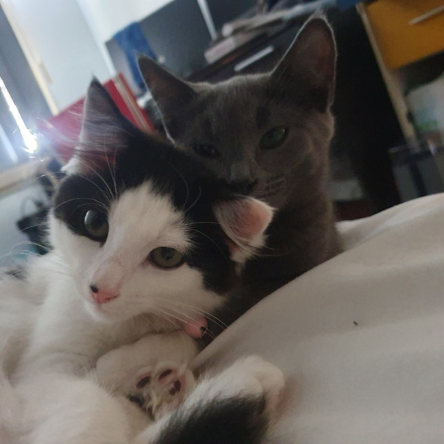 Photo of Mirabelle (With Aurora)