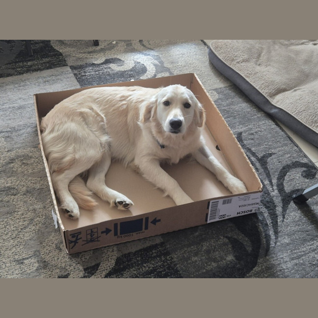 Photo of Lena