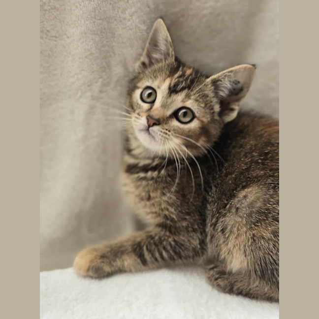 Photo of Lorelai