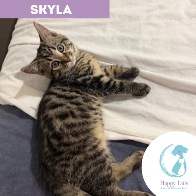 Photo of Skyla