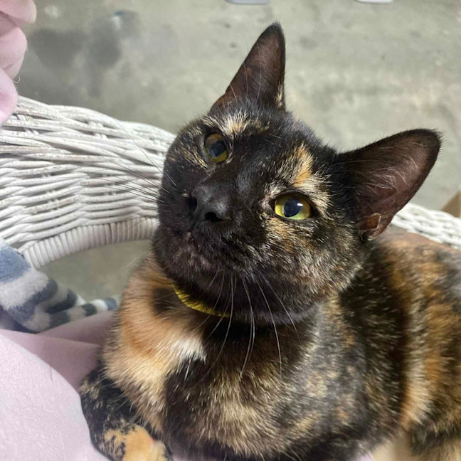 Photo of Kallie 🍃💕