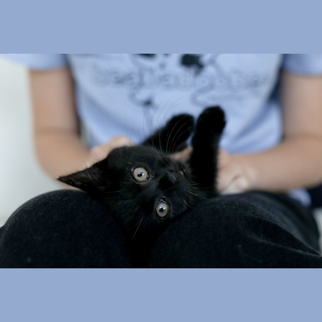 Photo of Nellie