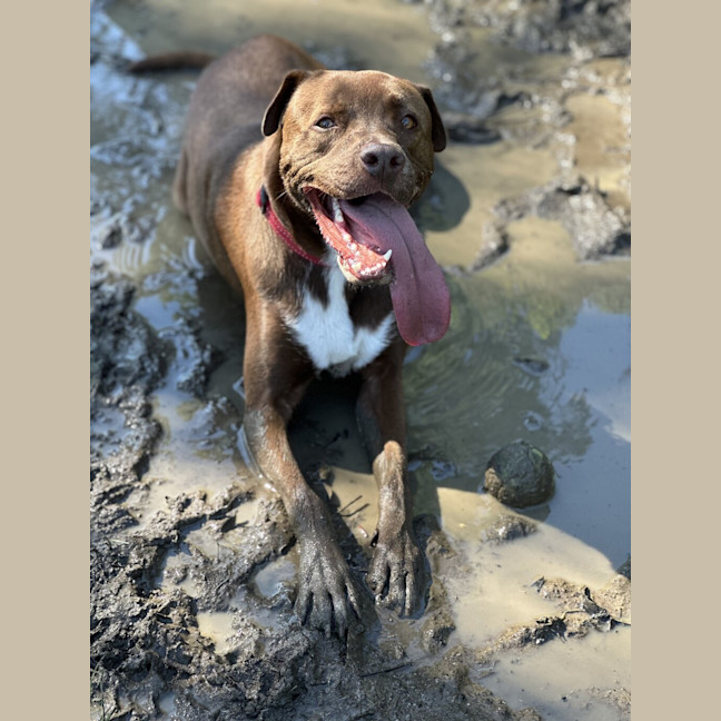 Photo of Wally